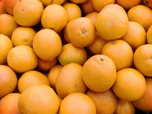 Traitement punaises de lit Orange